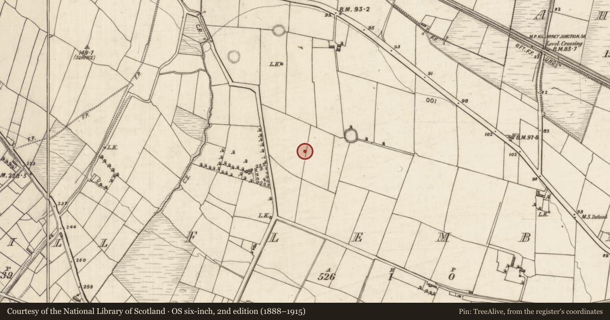 Ordnance Survey six-inch map, 2nd edition (1888–1915) covering the location of Fulacht fia, Flemby, County Kerry, with a pin at the register's coordinates