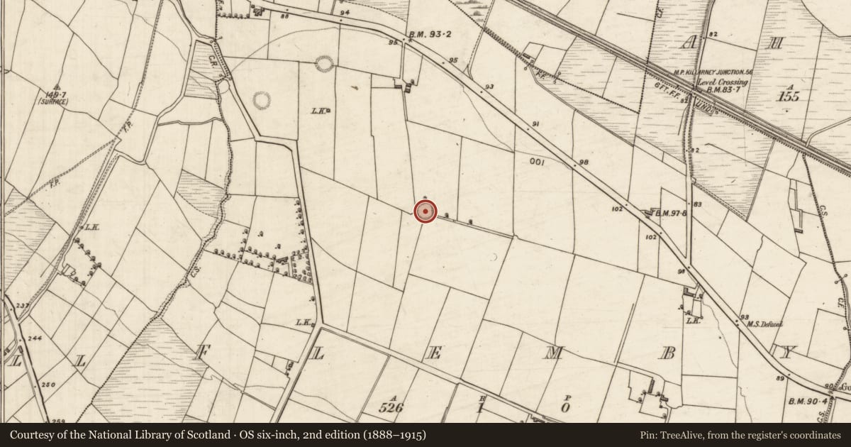 Ordnance Survey six-inch map, 2nd edition (1888–1915) covering the location of Ringfort - rath, Flemby, County Kerry, with a pin at the register's coordinates