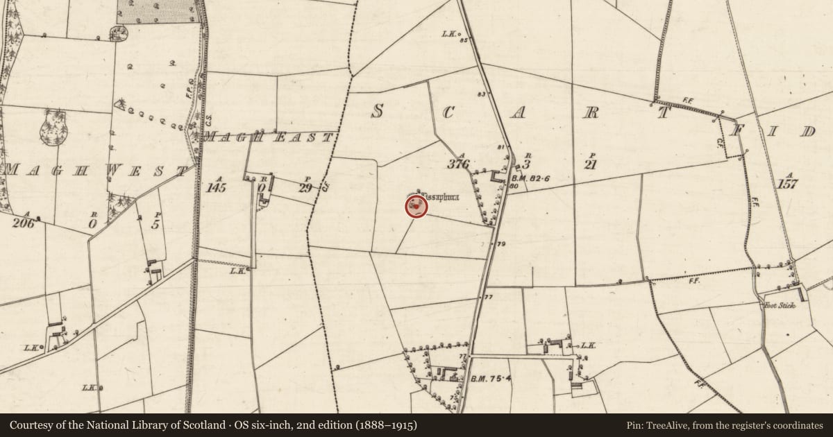 Ordnance Survey six-inch map, 2nd edition (1888–1915) covering the location of Ringfort - rath, Scart, County Kerry, with a pin at the register's coordinates