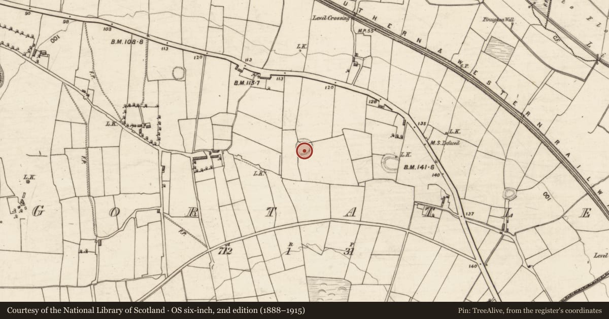 Ordnance Survey six-inch map, 2nd edition (1888–1915) covering the location of Ringfort - rath, Gortatlea, County Kerry, with a pin at the register's coordinates