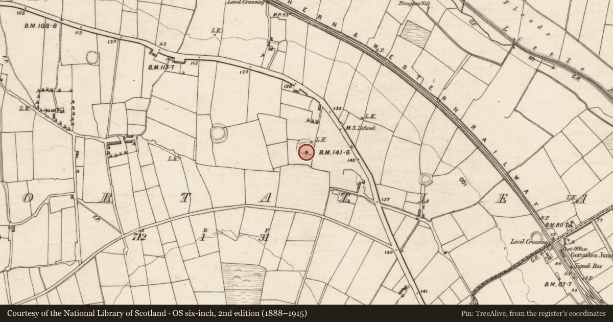 Ordnance Survey six-inch map, 2nd edition (1888–1915) covering the location of Ringfort - rath, Gortatlea, County Kerry, with a pin at the register's coordinates