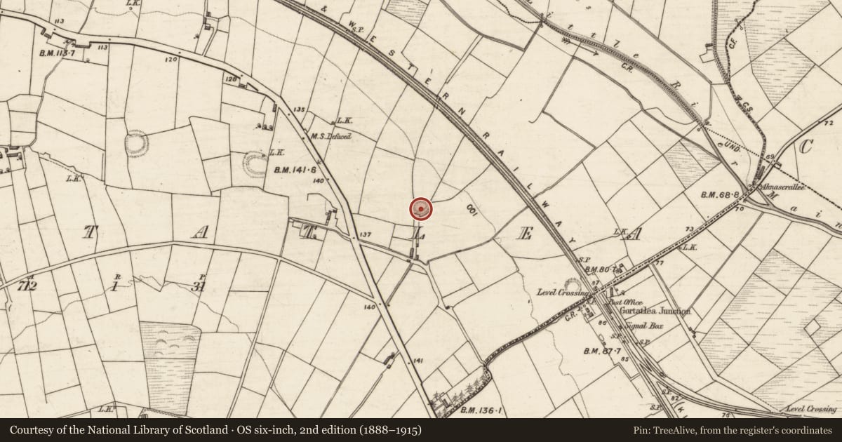 Ordnance Survey six-inch map, 2nd edition (1888–1915) covering the location of Ringfort - rath, Gortatlea, County Kerry, with a pin at the register's coordinates