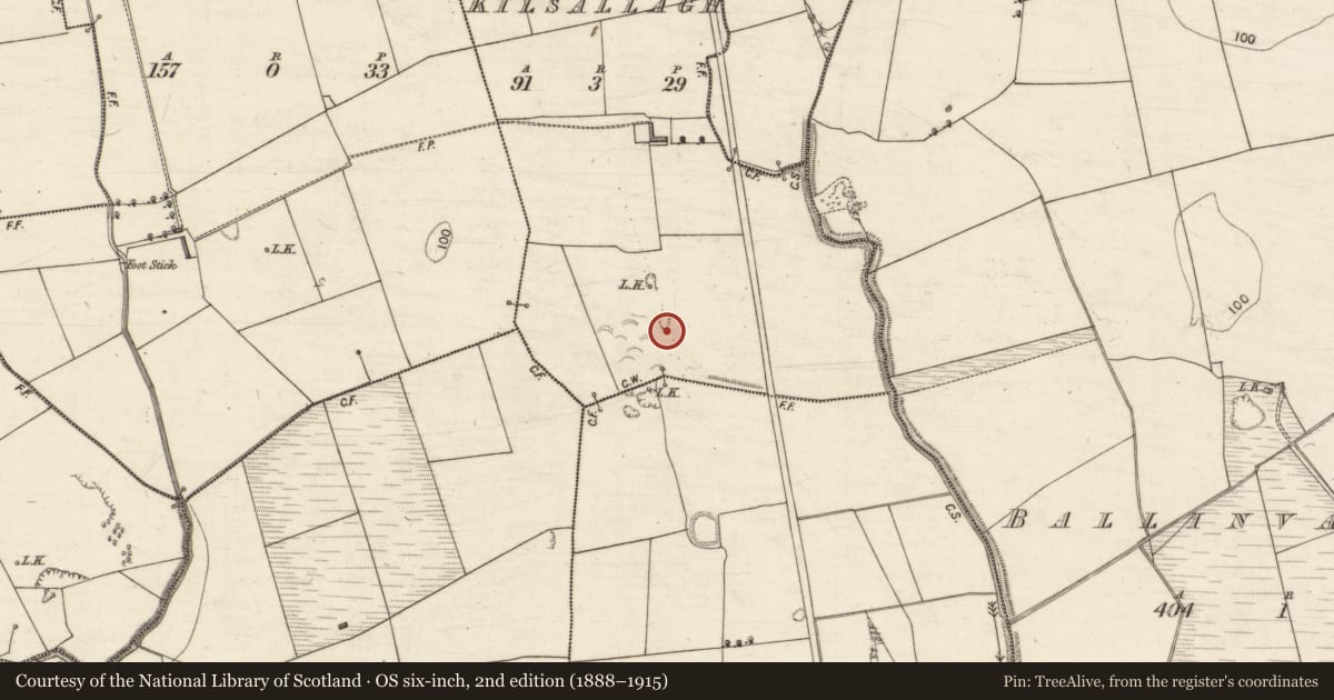 Ordnance Survey six-inch map, 2nd edition (1888–1915) covering the location of Earthwork, Kilsallagh, County Kerry, with a pin at the register's coordinates