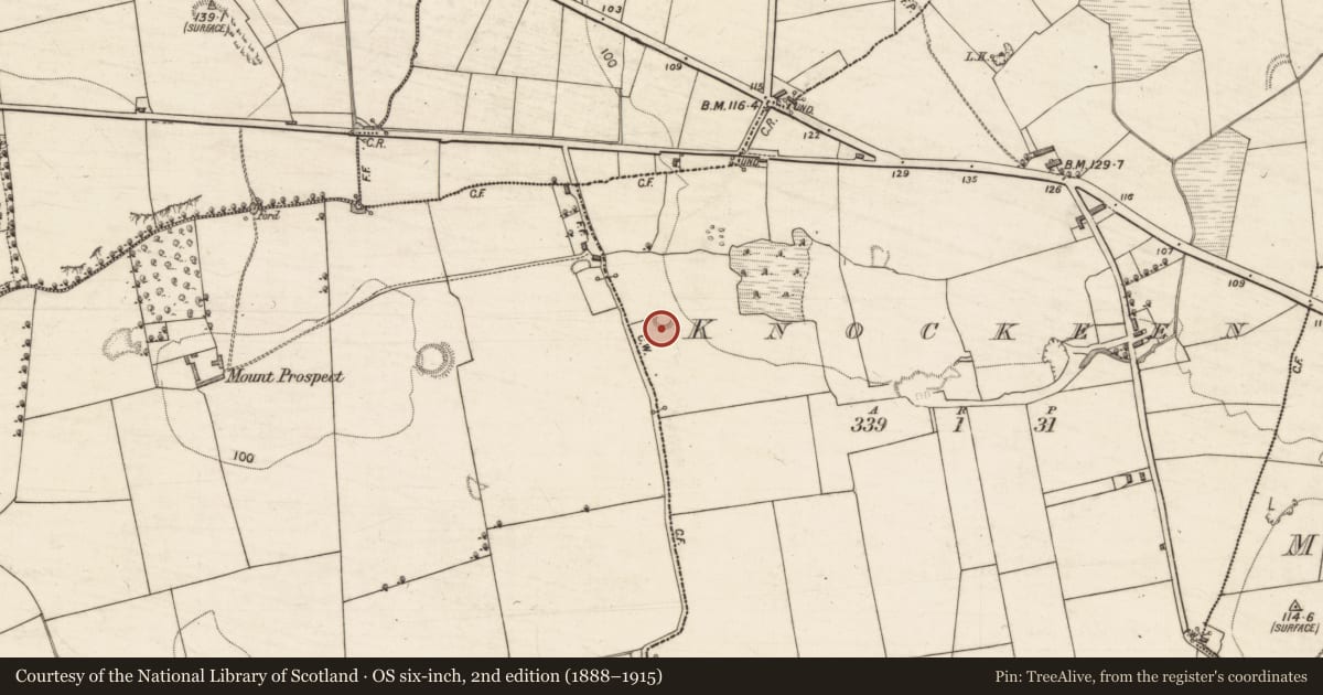 Ordnance Survey six-inch map, 2nd edition (1888–1915) covering the location of Ringfort - rath, Knockeen, County Kerry, with a pin at the register's coordinates