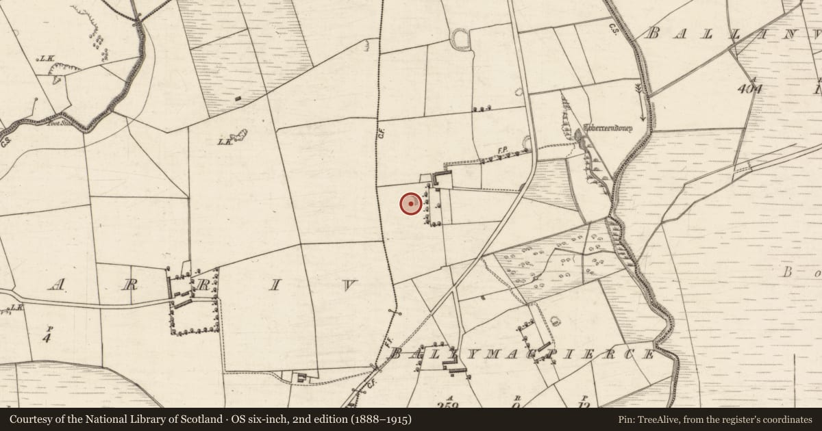Ordnance Survey six-inch map, 2nd edition (1888–1915) covering the location of Ringfort - rath, Ballymacpierce, County Kerry, with a pin at the register's coordinates