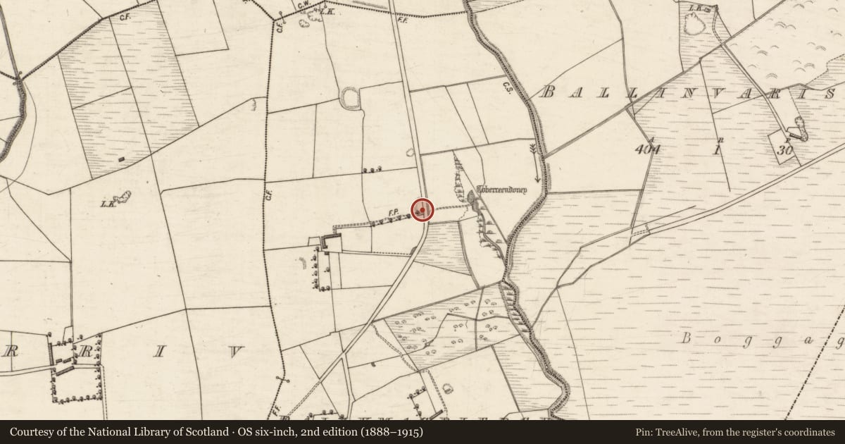 Ordnance Survey six-inch map, 2nd edition (1888–1915) covering the location of Ringfort - rath, Ballymacpierce, County Kerry, with a pin at the register's coordinates