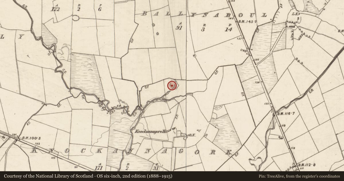 Ordnance Survey six-inch map, 2nd edition (1888–1915) covering the location of Enclosure, Knockannagore, County Kerry, with a pin at the register's coordinates