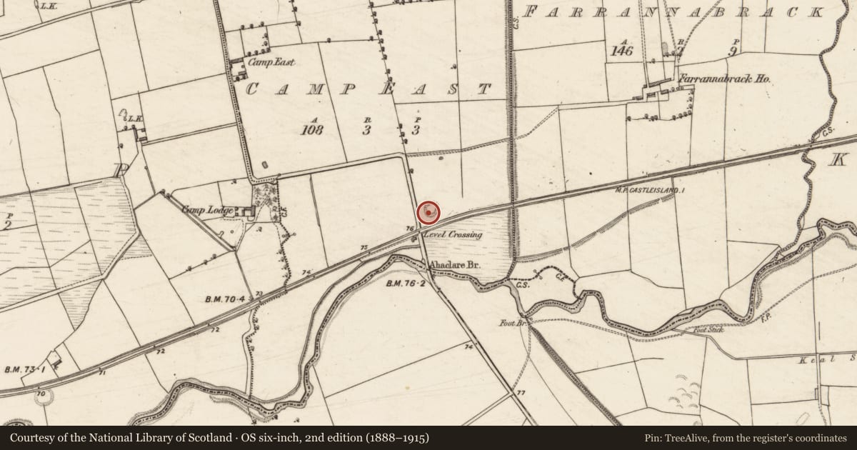 Ordnance Survey six-inch map, 2nd edition (1888–1915) covering the location of Ringfort - rath, Camp East, County Kerry, with a pin at the register's coordinates