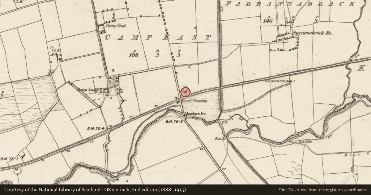 Ordnance Survey six-inch map, 2nd edition (1888–1915) covering the location of Souterrain, Camp East, County Kerry, with a pin at the register's coordinates