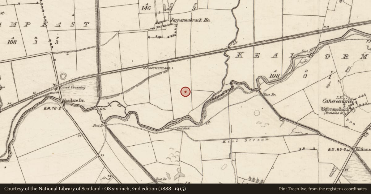 Ordnance Survey six-inch map, 2nd edition (1888–1915) covering the location of Ringfort - rath, Farrannabrack, County Kerry, with a pin at the register's coordinates