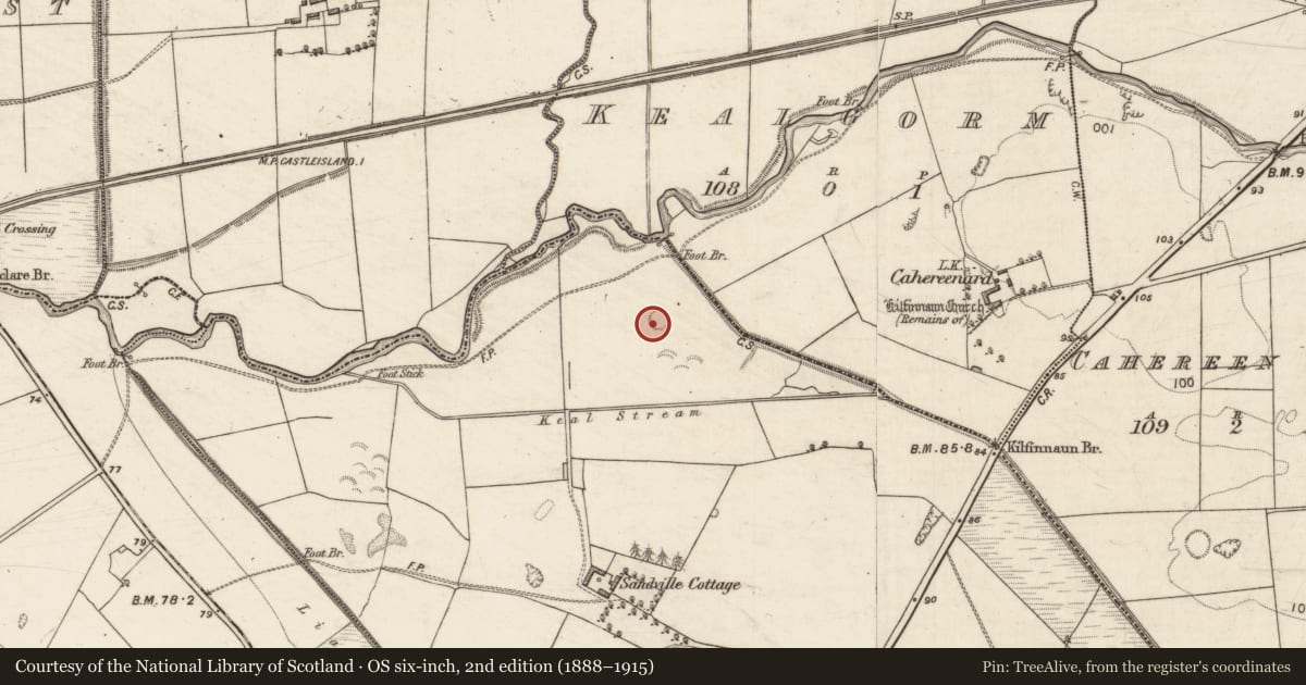 Ordnance Survey six-inch map, 2nd edition (1888–1915) covering the location of Ringfort - rath, Clashganniv, County Kerry, with a pin at the register's coordinates