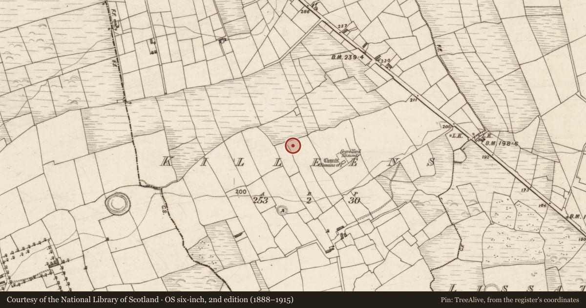 Ordnance Survey six-inch map, 2nd edition (1888–1915) covering the location of Earthwork, Killeens, County Kerry, with a pin at the register's coordinates