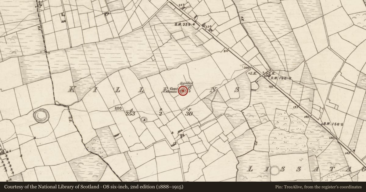 Ordnance Survey six-inch map, 2nd edition (1888–1915) covering the location of Church, Killeens, County Kerry, with a pin at the register's coordinates
