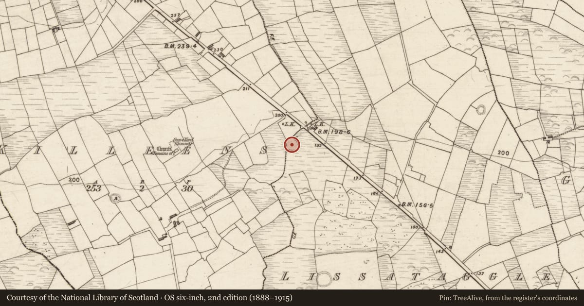 Ordnance Survey six-inch map, 2nd edition (1888–1915) covering the location of Ringfort - rath, Killeens, Lissataggle, County Kerry, with a pin at the register's coordinates