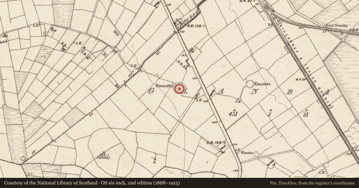 Ordnance Survey six-inch map, 2nd edition (1888–1915) covering the location of Ringfort - rath, Glanbane, County Kerry, with a pin at the register's coordinates