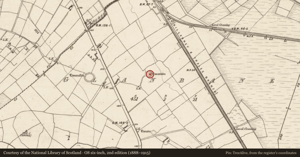 Ordnance Survey six-inch map, 2nd edition (1888–1915) covering the location of Ringfort - rath, Glanbane, County Kerry, with a pin at the register's coordinates