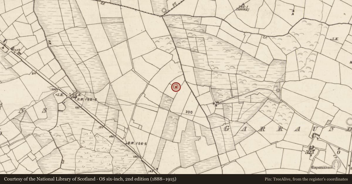 Ordnance Survey six-inch map, 2nd edition (1888–1915) covering the location of Ringfort - rath, Lissataggle, County Kerry, with a pin at the register's coordinates