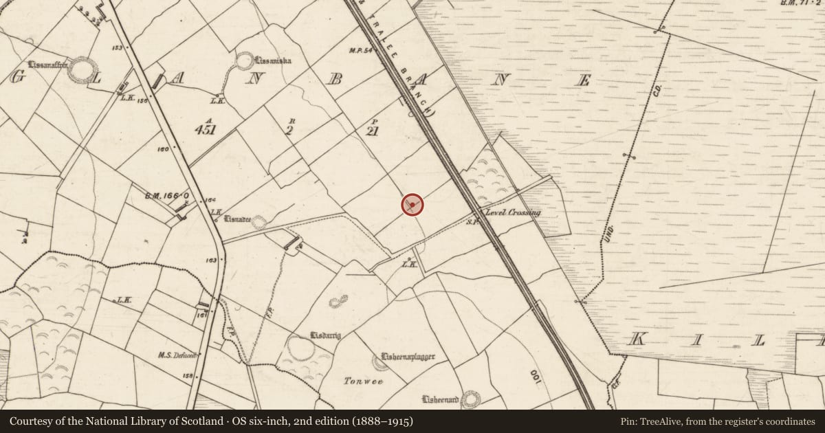 Ordnance Survey six-inch map, 2nd edition (1888–1915) covering the location of Enclosure, Glanbane, County Kerry, with a pin at the register's coordinates