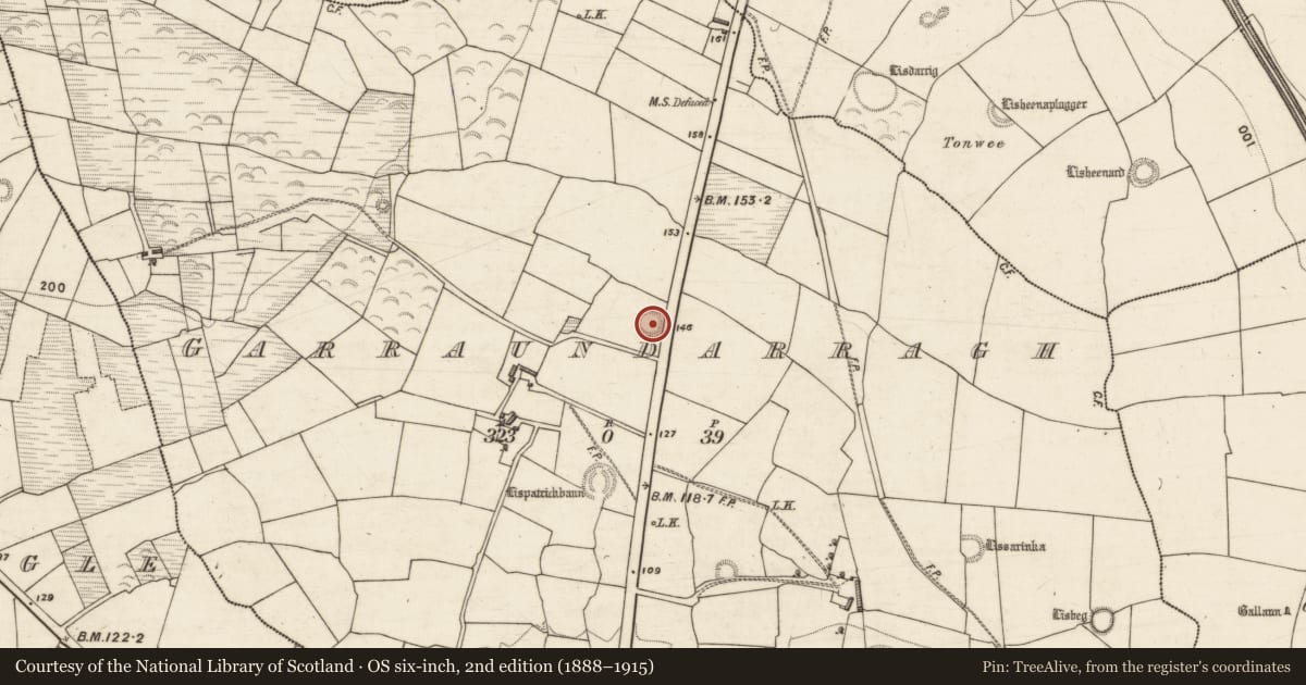 Ordnance Survey six-inch map, 2nd edition (1888–1915) covering the location of Ringfort - rath, Garraundarragh, County Kerry, with a pin at the register's coordinates
