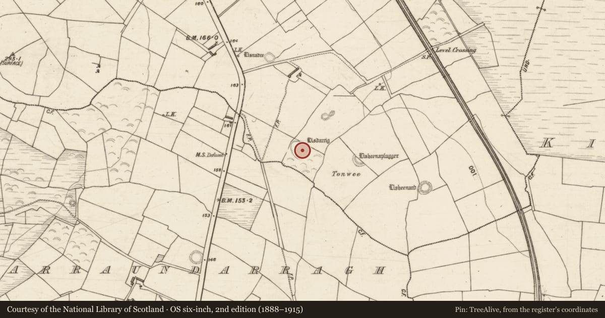 Ordnance Survey six-inch map, 2nd edition (1888–1915) covering the location of Ringfort - rath, Glanbane, County Kerry, with a pin at the register's coordinates