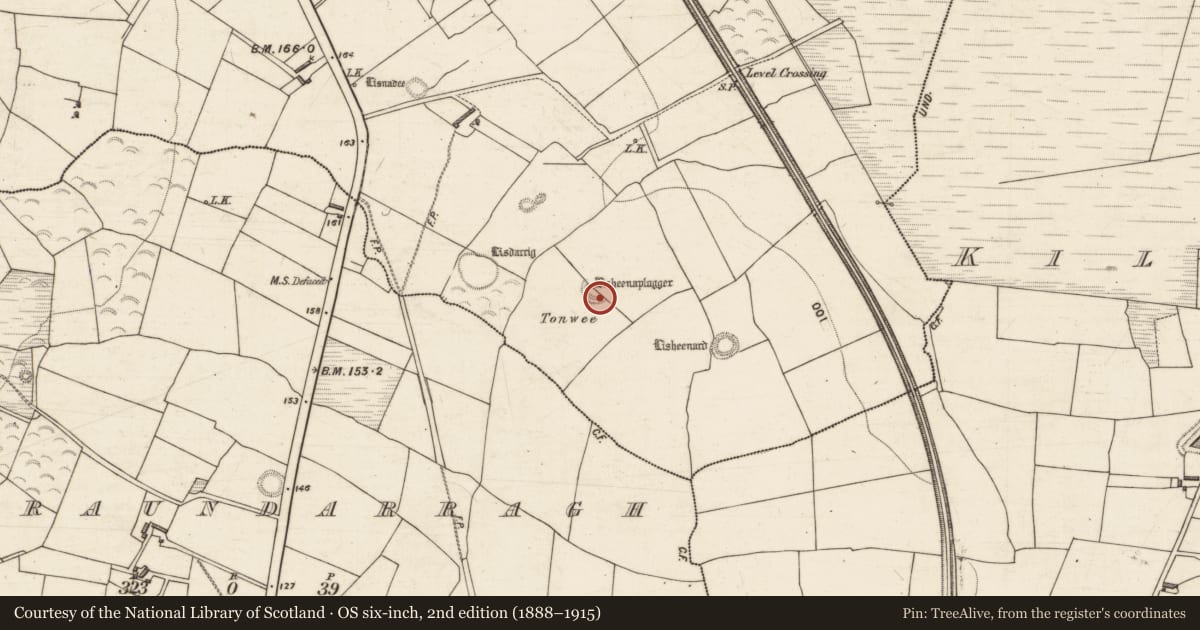 Ordnance Survey six-inch map, 2nd edition (1888–1915) covering the location of Ringfort - rath, Glanbane, County Kerry, with a pin at the register's coordinates