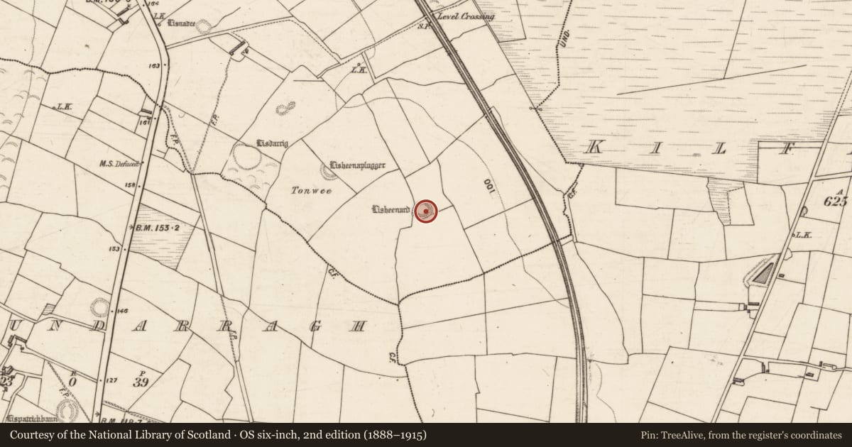 Ordnance Survey six-inch map, 2nd edition (1888–1915) covering the location of Ringfort - rath, Glanbane, County Kerry, with a pin at the register's coordinates