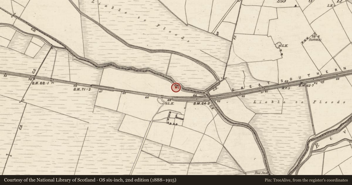 Ordnance Survey six-inch map, 2nd edition (1888–1915) covering the location of Fulacht fia, Kilfallinga, County Kerry, with a pin at the register's coordinates
