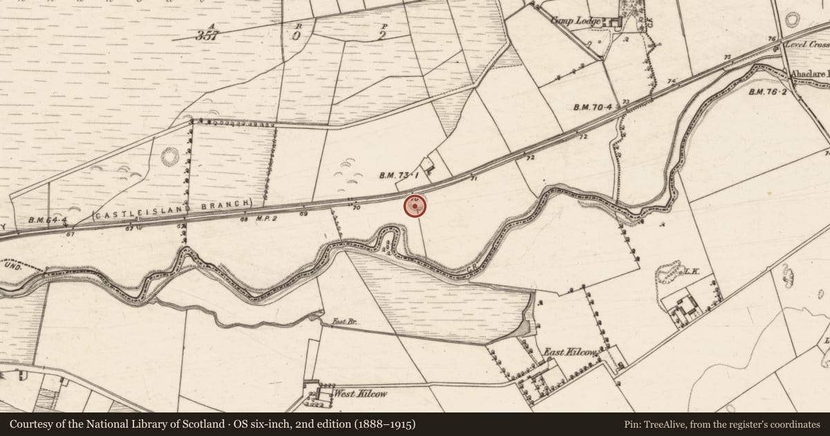 Ordnance Survey six-inch map, 2nd edition (1888–1915) covering the location of Ringfort - rath, Camp, County Kerry, with a pin at the register's coordinates