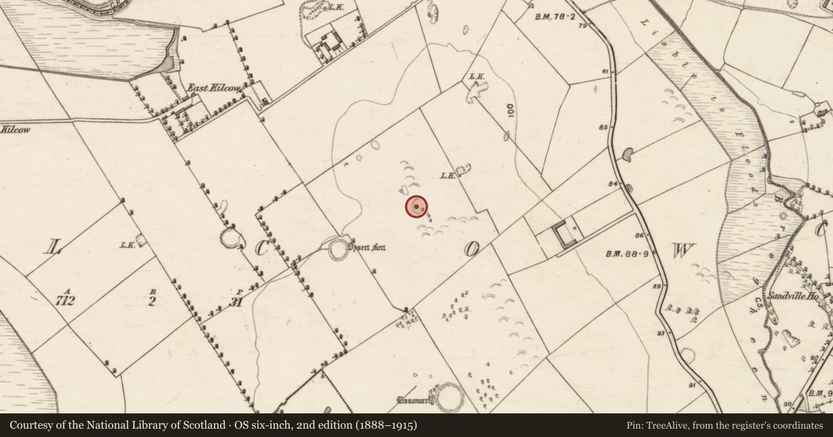 Ordnance Survey six-inch map, 2nd edition (1888–1915) covering the location of Ringfort - rath, Kilcow, County Kerry, with a pin at the register's coordinates