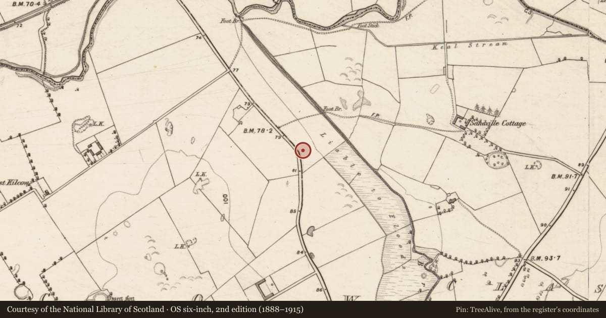 Ordnance Survey six-inch map, 2nd edition (1888–1915) covering the location of Enclosure, Kilcow, County Kerry, with a pin at the register's coordinates
