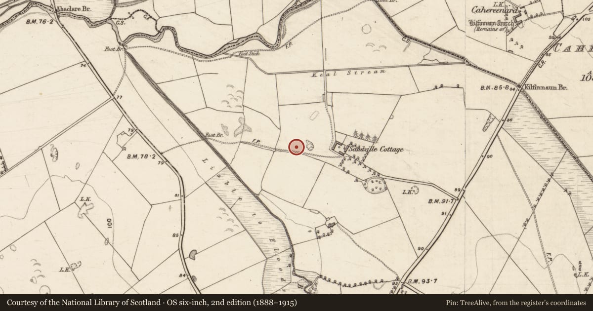 Ordnance Survey six-inch map, 2nd edition (1888–1915) covering the location of Enclosure, Clashganniv, County Kerry, with a pin at the register's coordinates