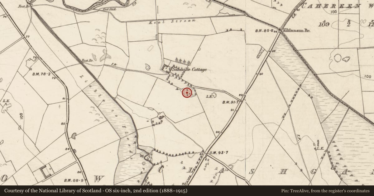 Ordnance Survey six-inch map, 2nd edition (1888–1915) covering the location of Ringfort - rath, Clashganniv, County Kerry, with a pin at the register's coordinates