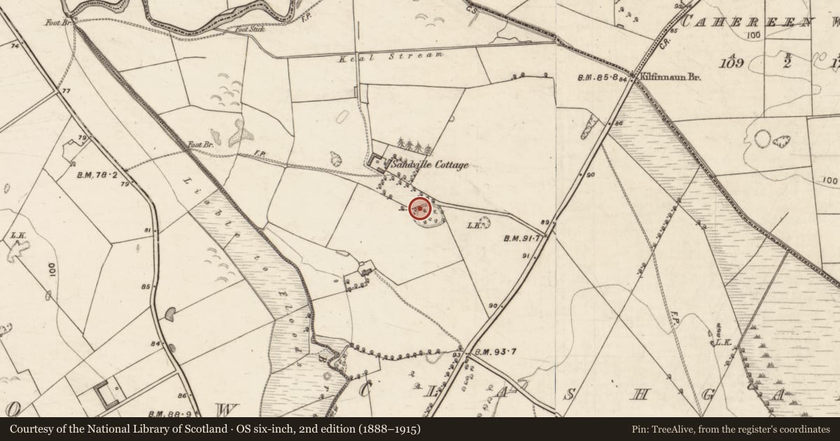 Ordnance Survey six-inch map, 2nd edition (1888–1915) covering the location of Souterrain, Clashganniv, County Kerry, with a pin at the register's coordinates