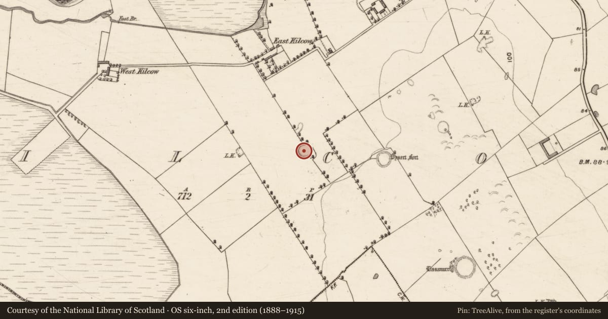 Ordnance Survey six-inch map, 2nd edition (1888–1915) covering the location of Ringfort - rath, Kilcow, County Kerry, with a pin at the register's coordinates