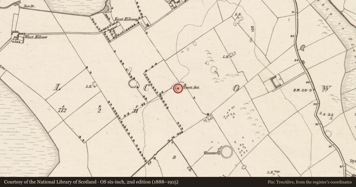 Ordnance Survey six-inch map, 2nd edition (1888–1915) covering the location of Enclosure, Kilcow, County Kerry, with a pin at the register's coordinates