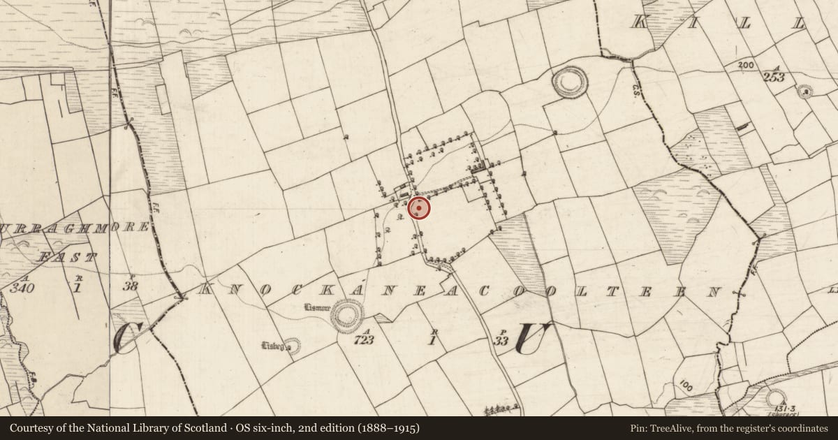 Ordnance Survey six-inch map, 2nd edition (1888–1915) covering the location of Ringfort - rath, Knockaneacoolteen, County Kerry, with a pin at the register's coordinates