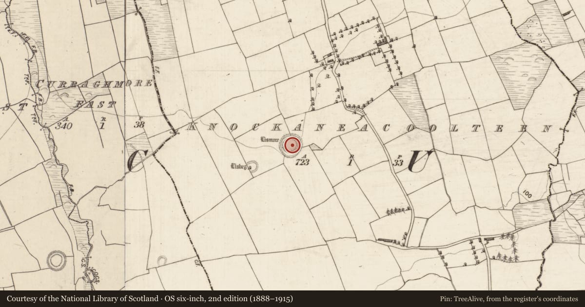 Ordnance Survey six-inch map, 2nd edition (1888–1915) covering the location of Ringfort - rath, Knockaneacoolteen, County Kerry, with a pin at the register's coordinates