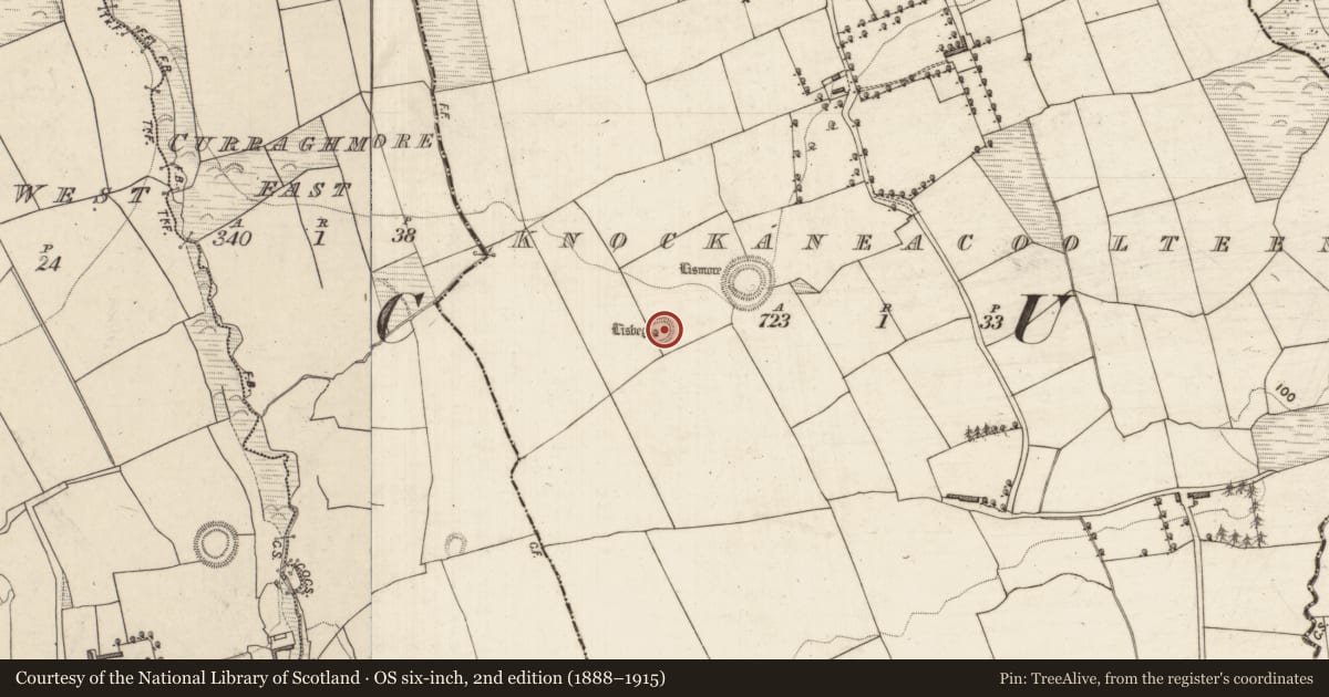 Ordnance Survey six-inch map, 2nd edition (1888–1915) covering the location of Ringfort - rath, Knockaneacoolteen, County Kerry, with a pin at the register's coordinates