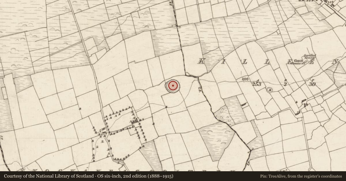 Ordnance Survey six-inch map, 2nd edition (1888–1915) covering the location of Ringfort - rath, Knockaneacoolteen, County Kerry, with a pin at the register's coordinates