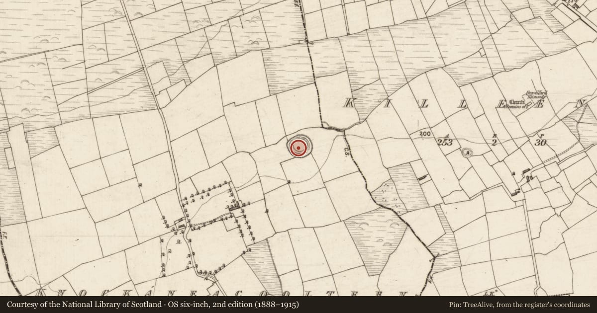 Ordnance Survey six-inch map, 2nd edition (1888–1915) covering the location of Hut site, Knockaneacoolteen, County Kerry, with a pin at the register's coordinates