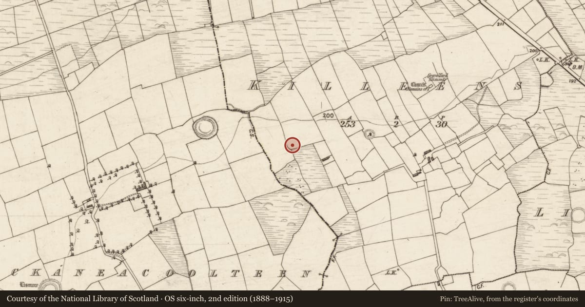 Ordnance Survey six-inch map, 2nd edition (1888–1915) covering the location of Ringfort - rath, Killeens, County Kerry, with a pin at the register's coordinates