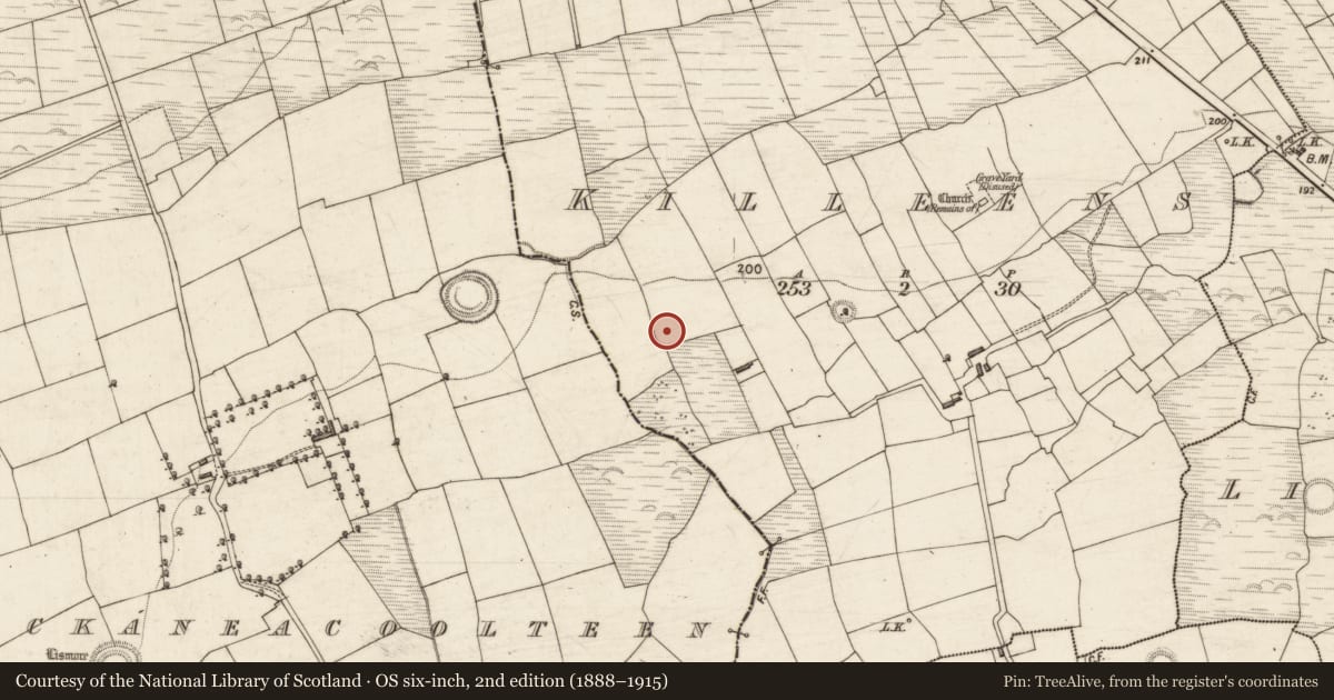Ordnance Survey six-inch map, 2nd edition (1888–1915) covering the location of Souterrain, Killeens, County Kerry, with a pin at the register's coordinates