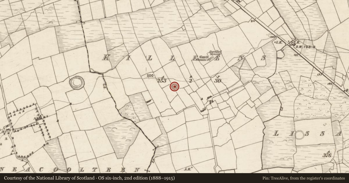 Ordnance Survey six-inch map, 2nd edition (1888–1915) covering the location of Ringfort - rath, Killeens, County Kerry, with a pin at the register's coordinates