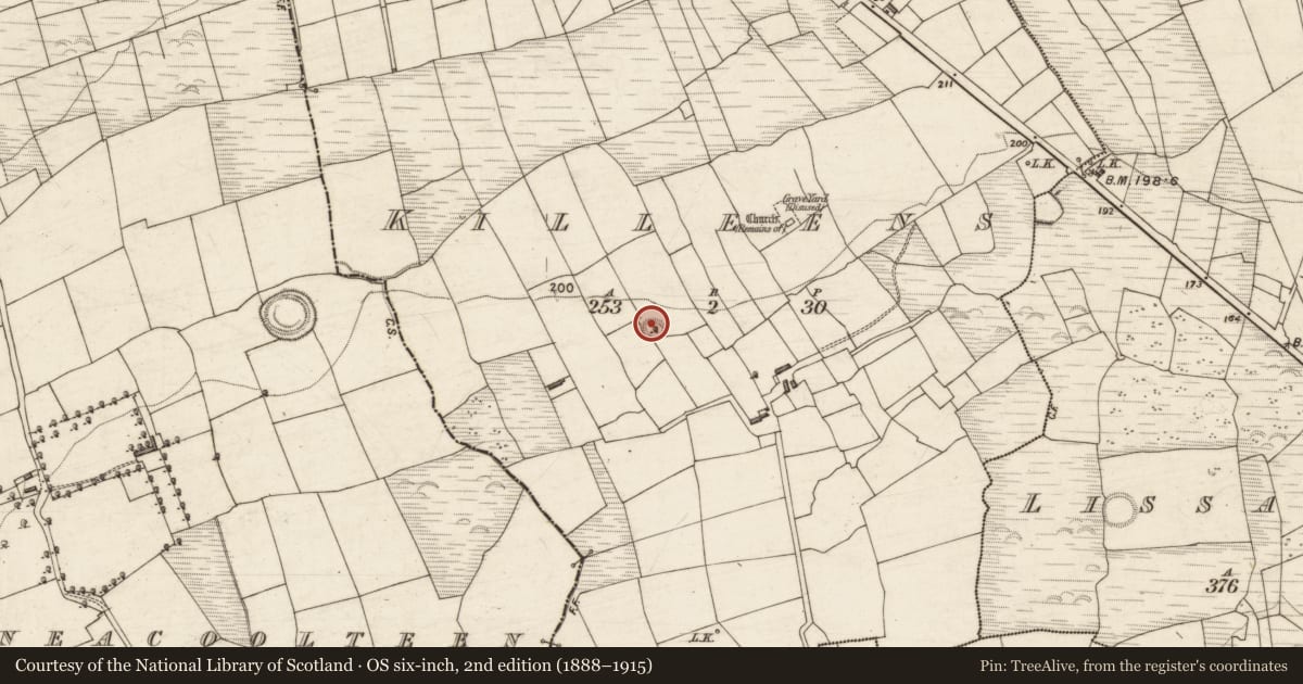Ordnance Survey six-inch map, 2nd edition (1888–1915) covering the location of Souterrain, Killeens, County Kerry, with a pin at the register's coordinates