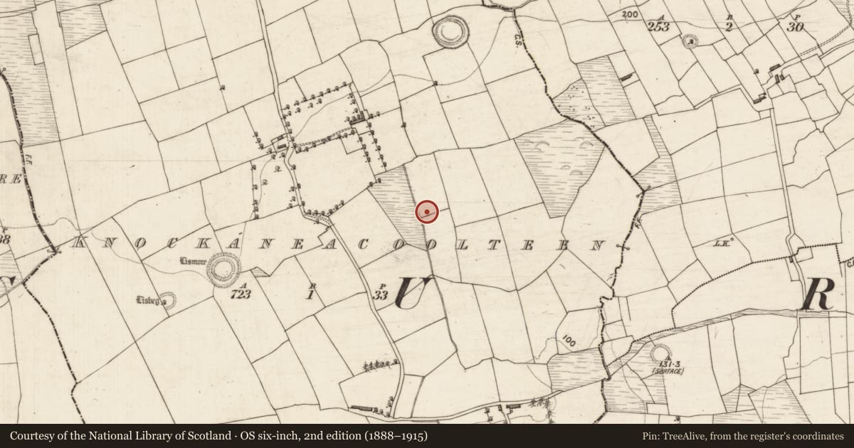 Ordnance Survey six-inch map, 2nd edition (1888–1915) covering the location of Burnt spread, Knockaneacoolteen, County Kerry, with a pin at the register's coordinates