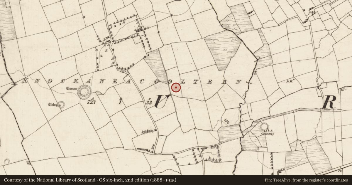 Ordnance Survey six-inch map, 2nd edition (1888–1915) covering the location of Fulacht fia, Knockaneacoolteen, County Kerry, with a pin at the register's coordinates