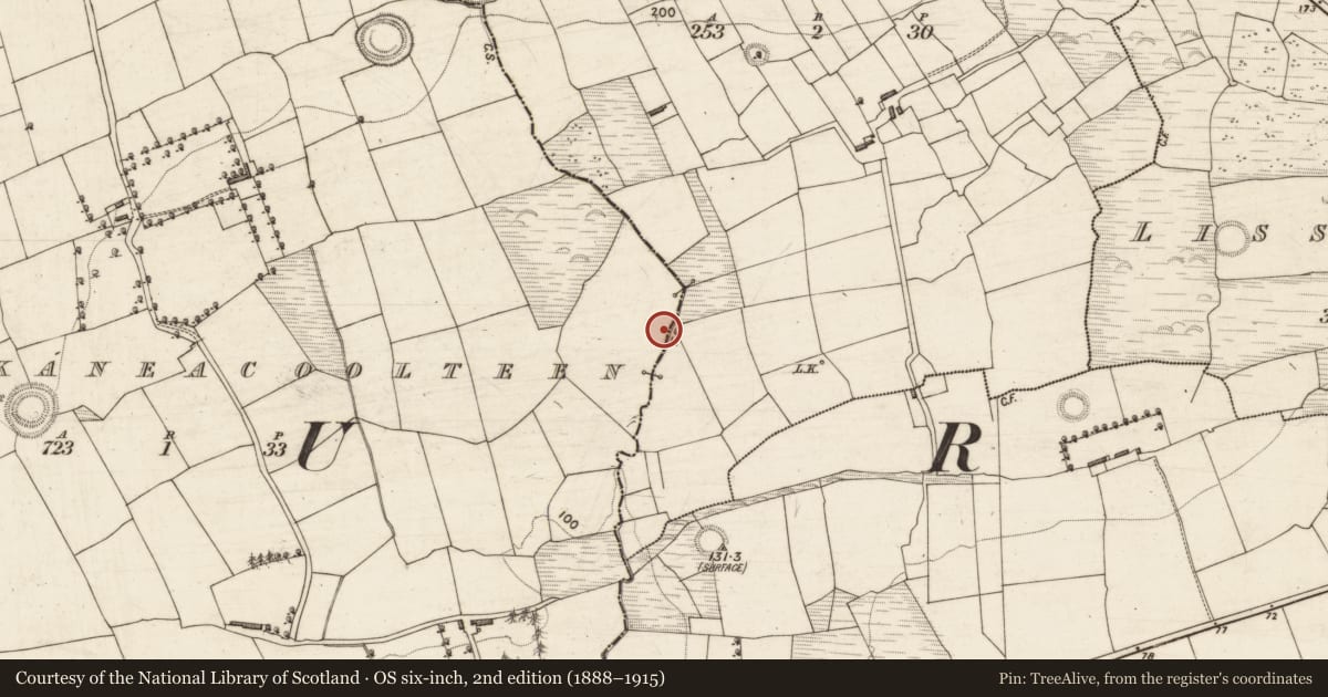 Ordnance Survey six-inch map, 2nd edition (1888–1915) covering the location of Burnt spread, Knockaneacoolteen, County Kerry, with a pin at the register's coordinates