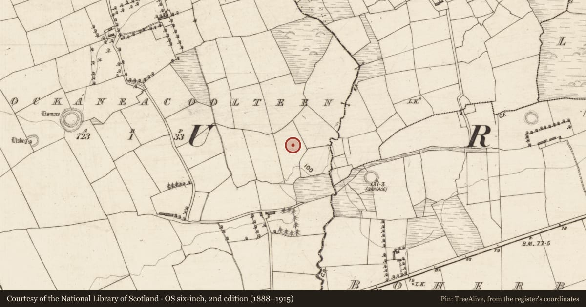 Ordnance Survey six-inch map, 2nd edition (1888–1915) covering the location of Fulacht fia, Knockaneacoolteen, County Kerry, with a pin at the register's coordinates
