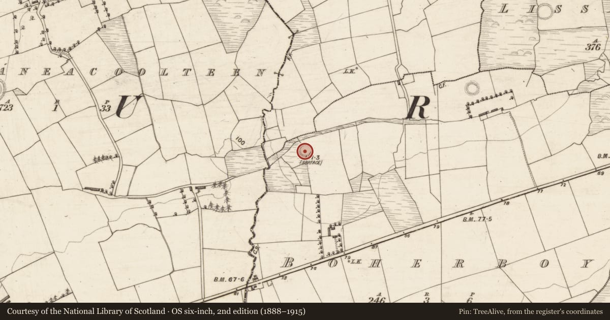 Ordnance Survey six-inch map, 2nd edition (1888–1915) covering the location of Ringfort - rath, Boherboy, County Kerry, with a pin at the register's coordinates