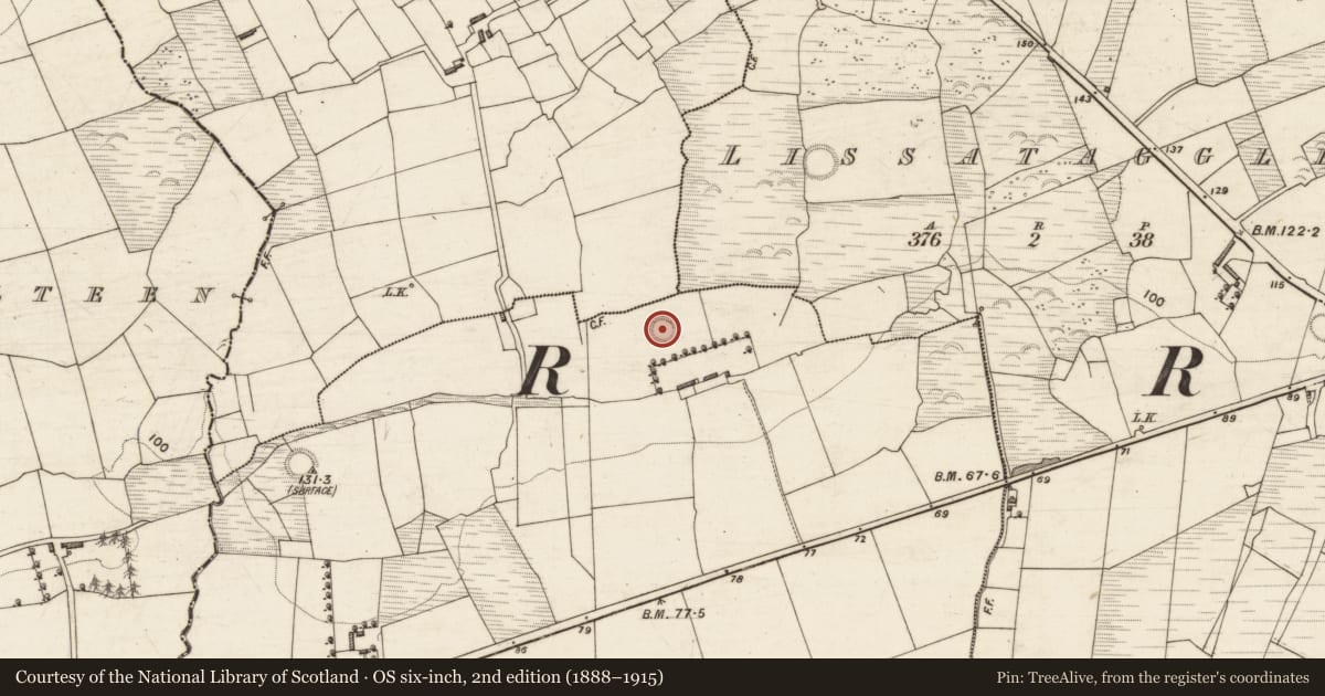 Ordnance Survey six-inch map, 2nd edition (1888–1915) covering the location of Ringfort - rath, Boherboy, County Kerry, with a pin at the register's coordinates